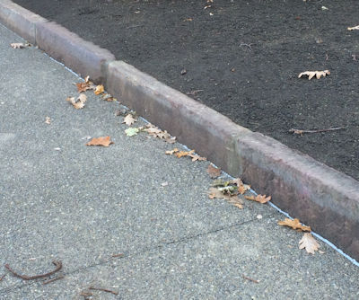 Salvaged Medina stone curbing with exposed aggregate paving  